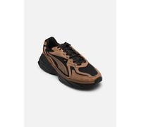 Baskets Puma Fade Nitro LS S M pour Homme 43 Marron
