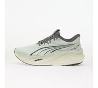 PUMA MagMax Nitro 2 Running Shoes EU 46