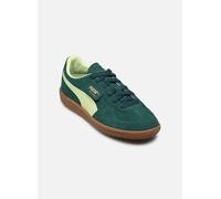 Baskets Puma Palermo Jr pour Enfant 36 Vert