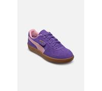 Baskets Puma Palermo Jr pour Enfant 37 Violet
