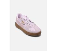 Baskets Puma Palermo Lamoda Jr pour 37 Violet
