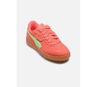 Baskets Puma Palermo Lamoda Xtra Gum Wns pour 38 Rose