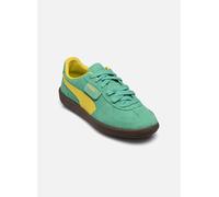 Baskets Puma Palermo pour 42 Vert