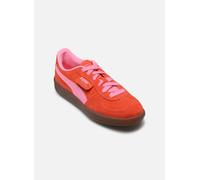 Puma Baskets basses Palermo in Rouge 38