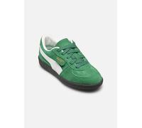 Baskets Puma Palermo Ps pour Enfant 35 Vert