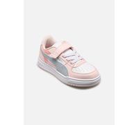 Puma Caven Iii Block Ac+ps Trainers Blanc,Rose EU 33 Enfants