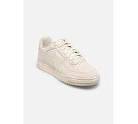 Baskets Puma Puma Caven III SD M pour Homme 40 Beige