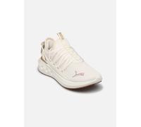 Puma Softride Carson Fresh Wns - Chaussures running femme Warm White / Puma Gold 40