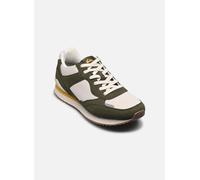 Quiksilver Fontana Trainers Vert,Blanc EU 40 Homme