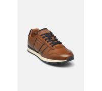 Redskins Affairo (en taille 40, 41, 42, 43, 44, 45) Camel
