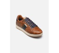 Baskets - Redskins - Dayton - Marron - Synthétique - Lacets 42