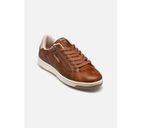 Redskins Baskets basses GOBAT in Marron 44