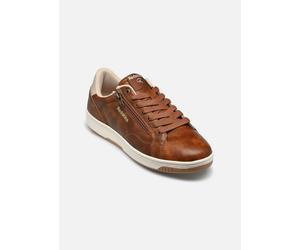 Baskets Redskins GOBAT pour Homme 44 Marron