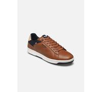 Basket à Lacets Redskins Gunray - Cognac-Marine-Beige 41