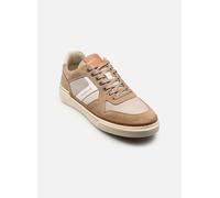 Baskets Redskins LERMA pour Homme 41 Beige