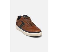 Baskets Redskins LERMI pour Homme 40 Marron