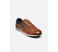 Baskets Redskins LUCIDE 3 pour Homme 43 Marron