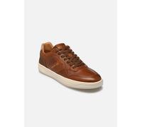 Baskets Redskins ZENICA pour Homme 43 Marron