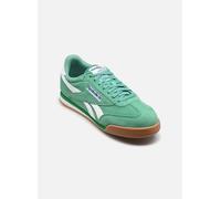 Baskets basses hommes Reebok Classic CAMPIO XT Vert 44