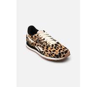 Reebok - Sneakers en cuir - Classic AZ Cheetah /Black / Chalk pour Femme en Cuir - Taille 40 - Marron Marron 40