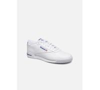 Baskets Reebok Exofit Lo Clean Logo Int pour Homme 43 Blanc