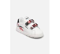 Baskets Reebok Rbk Royal Complete Cln 2.0 2V pour Enfant 20 Blanc