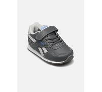Baskets Reebok Reebok Royal Cl Jog 3.0 1V I pour Enfant 22 Gris
