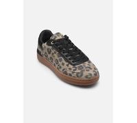 Baskets Replay Pyper W pour Femme 40 Marron