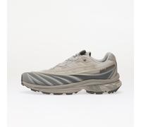 Salomon XT-EVO men Lowtop grey taille: 45 1/3