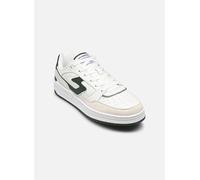Baskets Schmoove BROOKLYN COURT M pour 40 Blanc