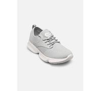 Baskets Scholl CAMDEN COMFORT pour 39 Gris