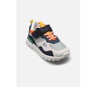 Baskets Shoo Pom Joggy Scratch pour 34 Multicolore