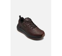 Baskets Skechers Parnell-Gracen pour 45 Marron