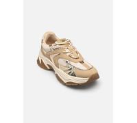 STEVE MADDEN Baskets basses 'Ample' camel / écru / or, Taille 38