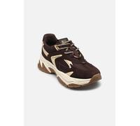 Steve Madden Baskets basses AMPLE in Marron 41