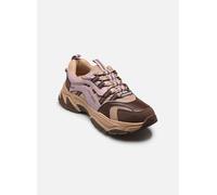 Baskets Steve Madden Animates-E pour 40 Marron