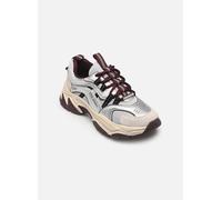 Baskets basses femmes Steve Madden ANIMATES Blanc 37