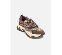 Baskets Steve Madden Animates-Le pour 38 Marron