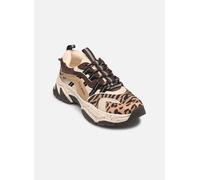 Baskets basses femmes Steve Madden ANIMATES-L Beige 37