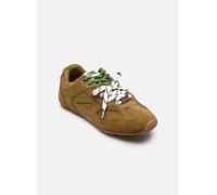 Baskets Steve Madden Asiel pour 36 Vert