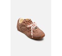 Baskets Steve Madden Asiel pour 37 Marron