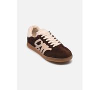 Baskets Steve Madden Elora pour Femme 39 Marron