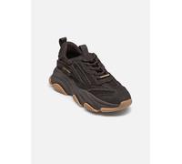 Baskets Steve Madden Possession-E pour 41 Marron