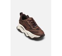 Baskets Steve Madden Possession-E pour Femme 41 Marron