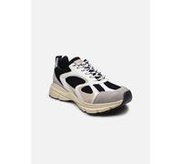 Baskets Steve Madden Prins pour Homme 41 Multicolore