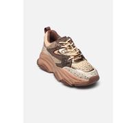 Baskets Steve Madden Privy pour Femme 40
