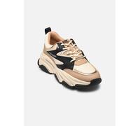 STEVE MADDEN Baskets basses 'Progressive' crème / camel / noir / argent, Taille 38