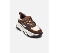 Baskets Steve Madden Progressive pour Femme 39 Marron