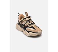 Baskets basses femmes Steve Madden SPECTATOR Beige 37