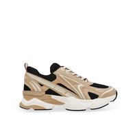 Baskets Steve Madden Speedster-E Beige 38